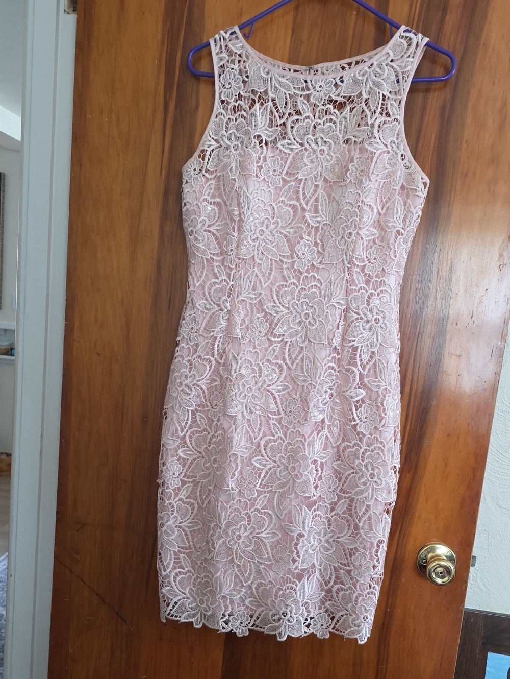 Adrianna Papell Blush Pink Lace Midi Dress
